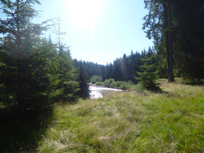 Notre lieu de camp.