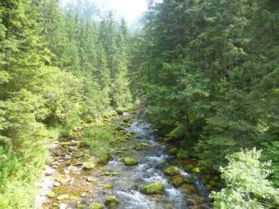 La rivière.